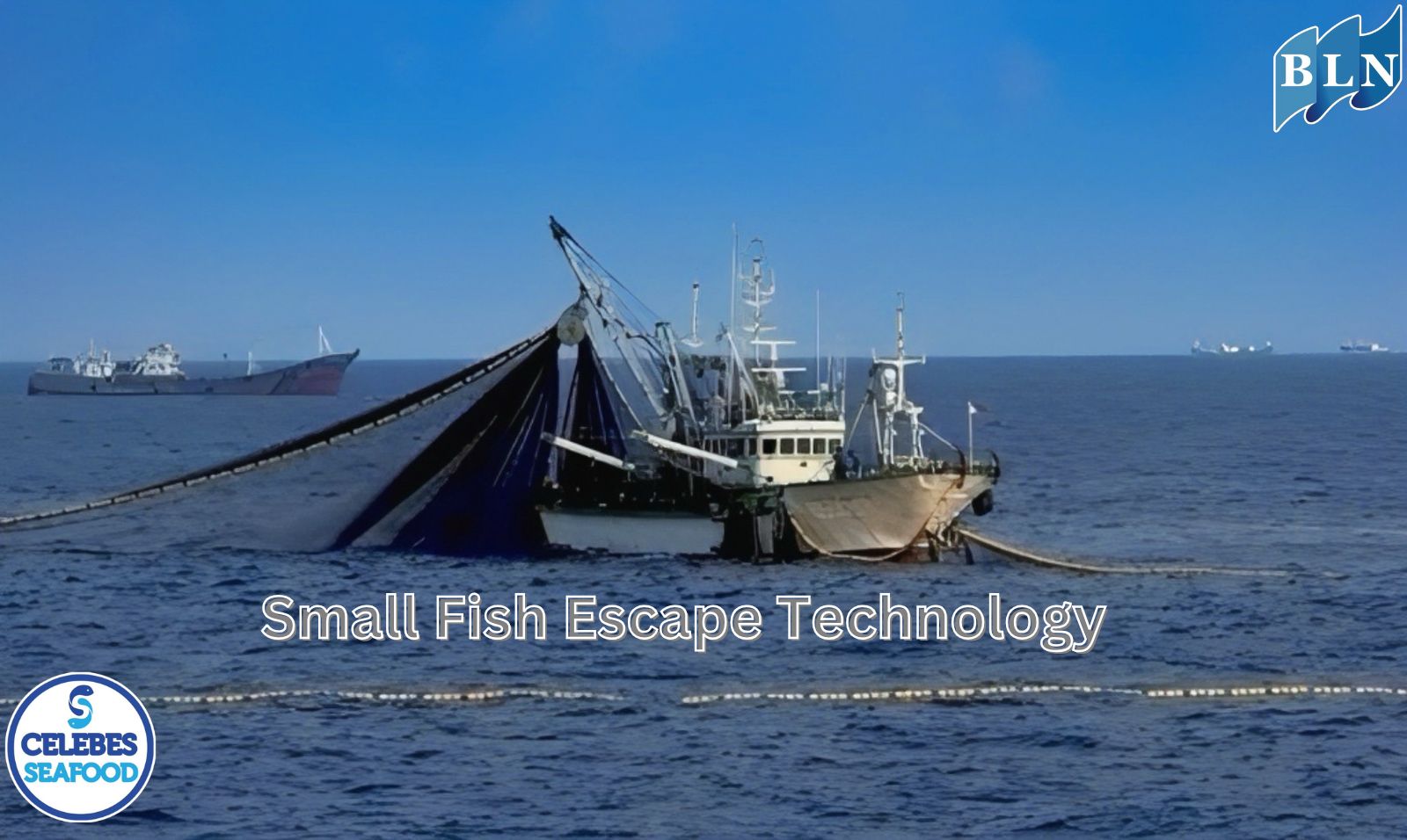 Small Fish Escape Technology: Innovation for Sustainable Fisheries